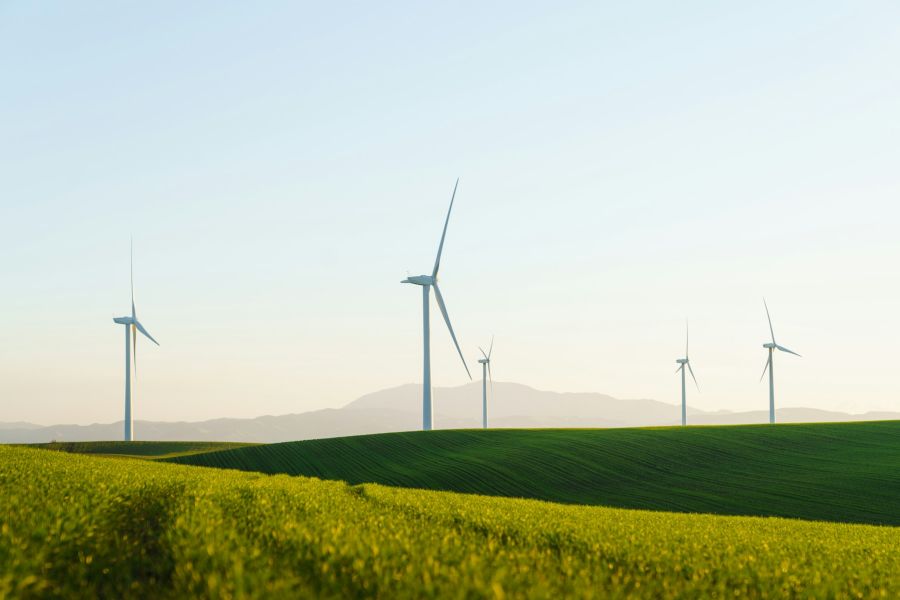 Sustainability