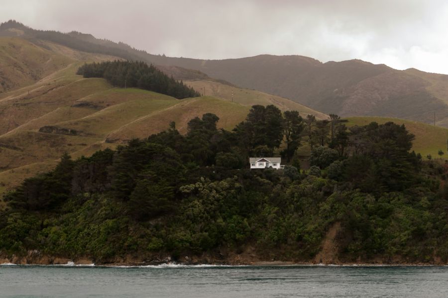 The New Zealand writer Maurice Gee