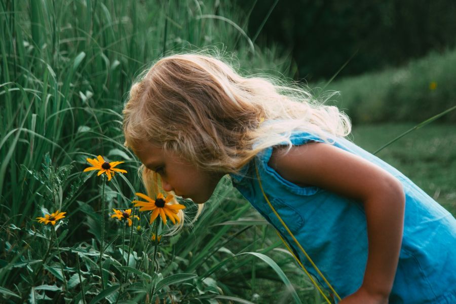 The nature deficit - how children are losing touch with nature
