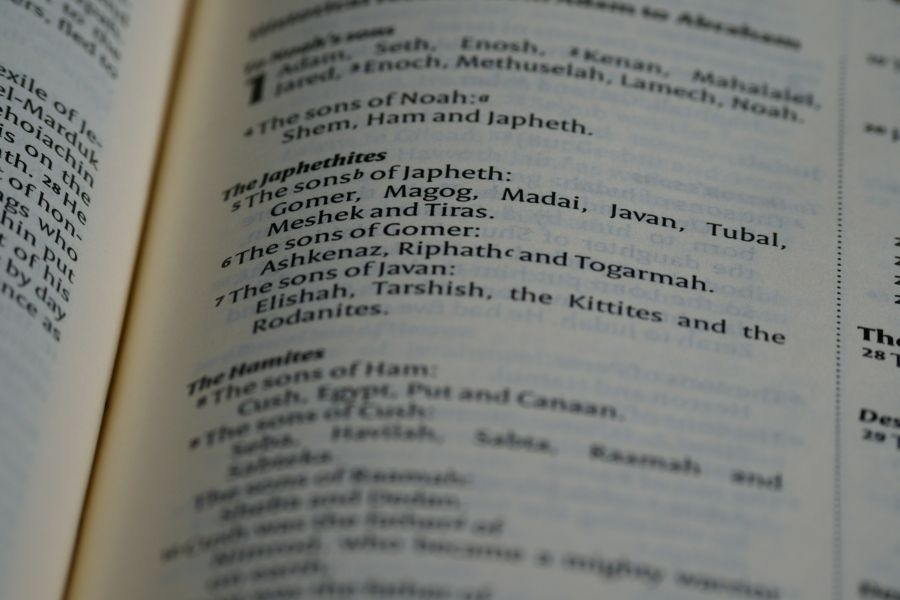 Special types of language