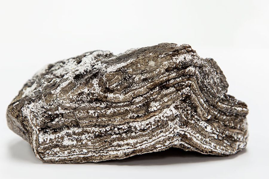 Ambergris – what is it and where does it come from?