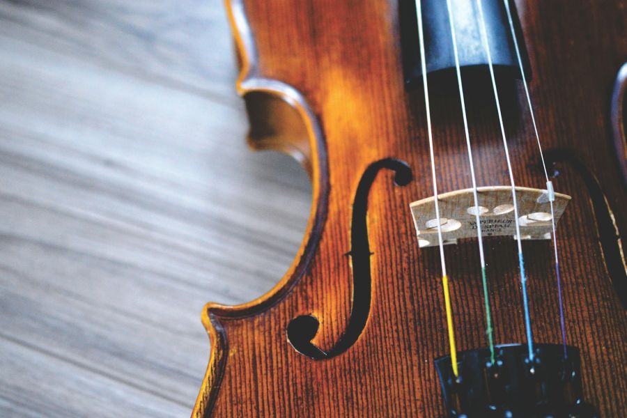 Science and the Stradivarius