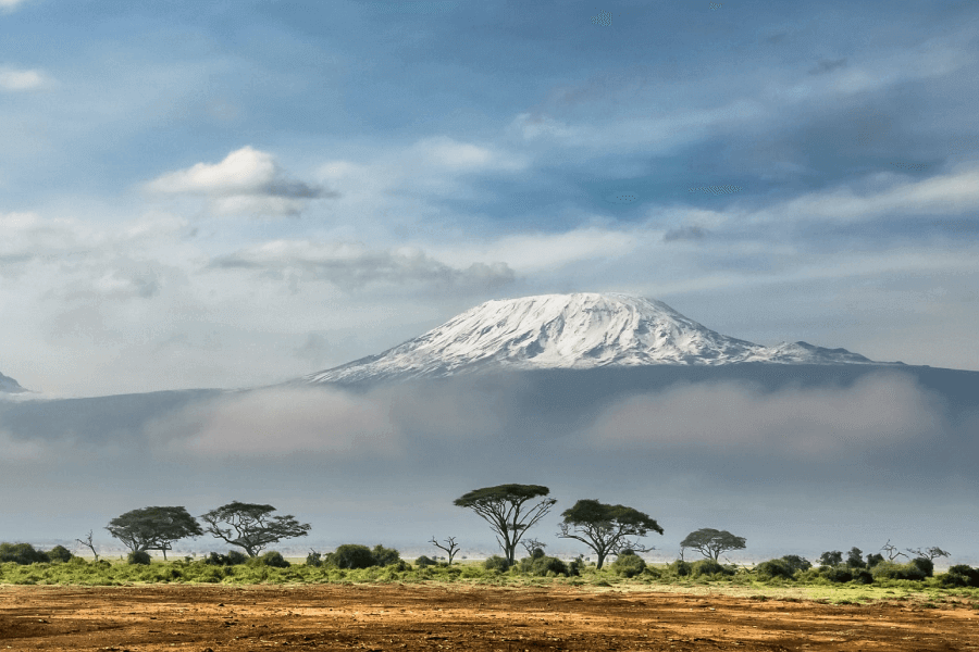 Field Trip To Kenya IELTS Listening Answers With Audio, Transcript, And Explanation