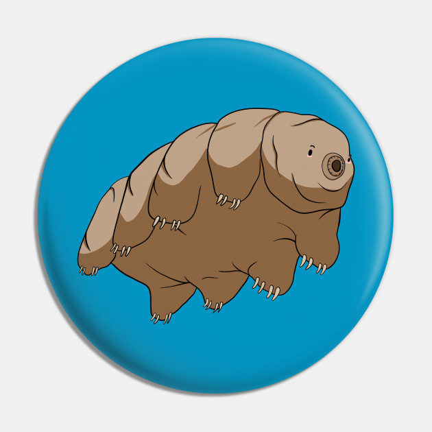 Tardigrades IELTS Listening Answers With Audio, Transcript And Explanation