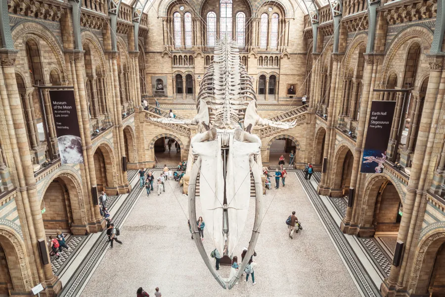 Birmingham Exhibition IELTS Listening Answers With Audio, Transcript, And Explanation
