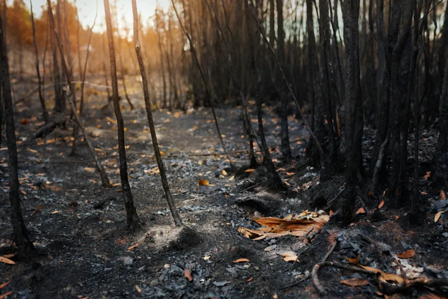 California's age of megafires