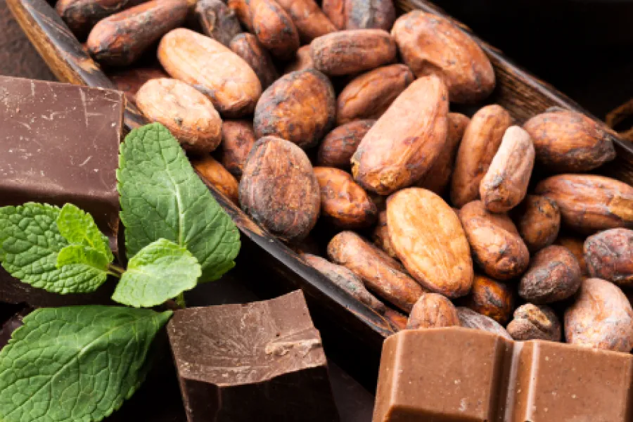 Harvesting And Processing Cocoa Beans IELTS Listening Answers With Audio, Transcript, And Explanation