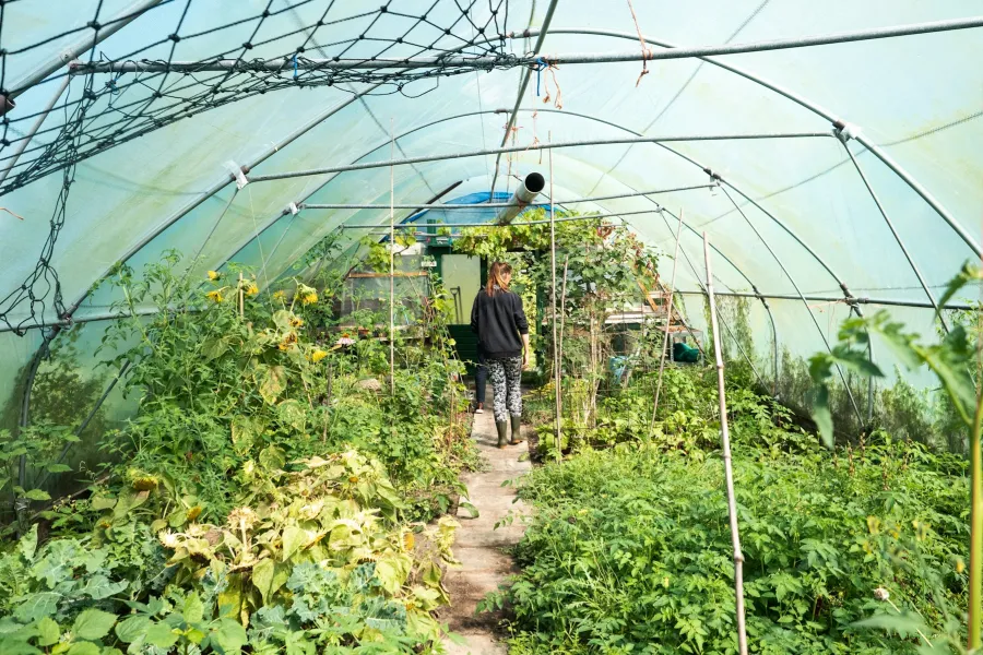 Working in the agriculture and horticulture sectors - IELTS Listening with Practice test, Audio, Transcript, And Explanation