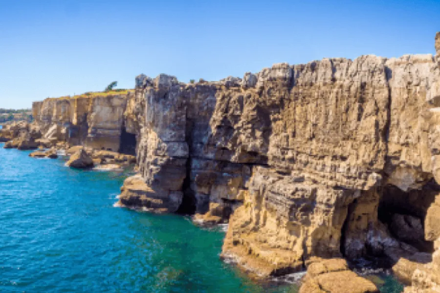 Rocky Bay field trip - IELTS Listening with Practice test, Audio, Transcript, And Explanation