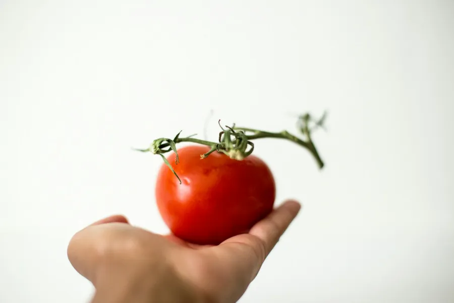 Developing food trends - IELTS Listening with Practice test, Audio, Transcript, And Explanation
