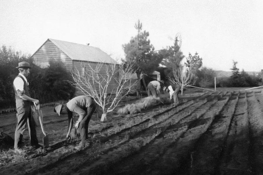 A history of Sunnyside Farm
