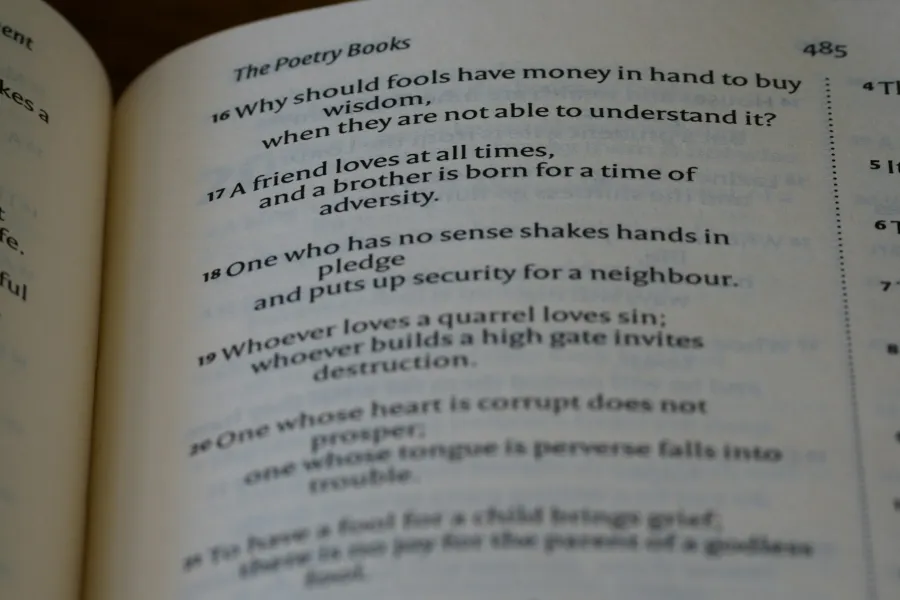 Who wrote Shakespeare's plays?