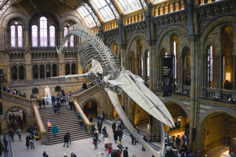 A museum site - IELTS Listening with Practice test, Audio, Transcript, And Explanation