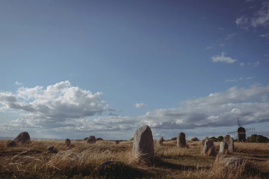 Prehistoric Park - IELTS Listening with Practice test, Audio, Transcript, And Explanation