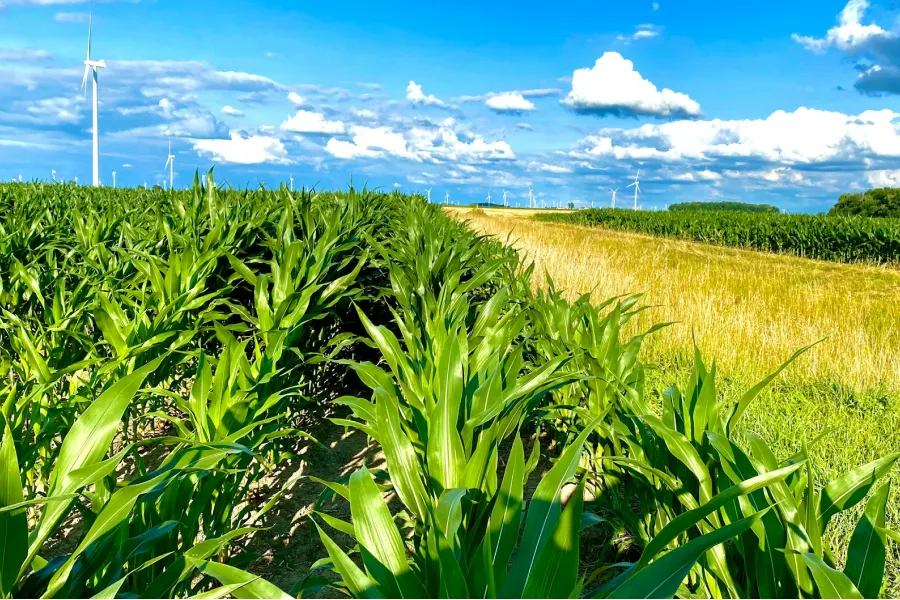 Biofuels: are they the fuels of the future? - IELTS Reading with Practice Test, Answers And Explanation