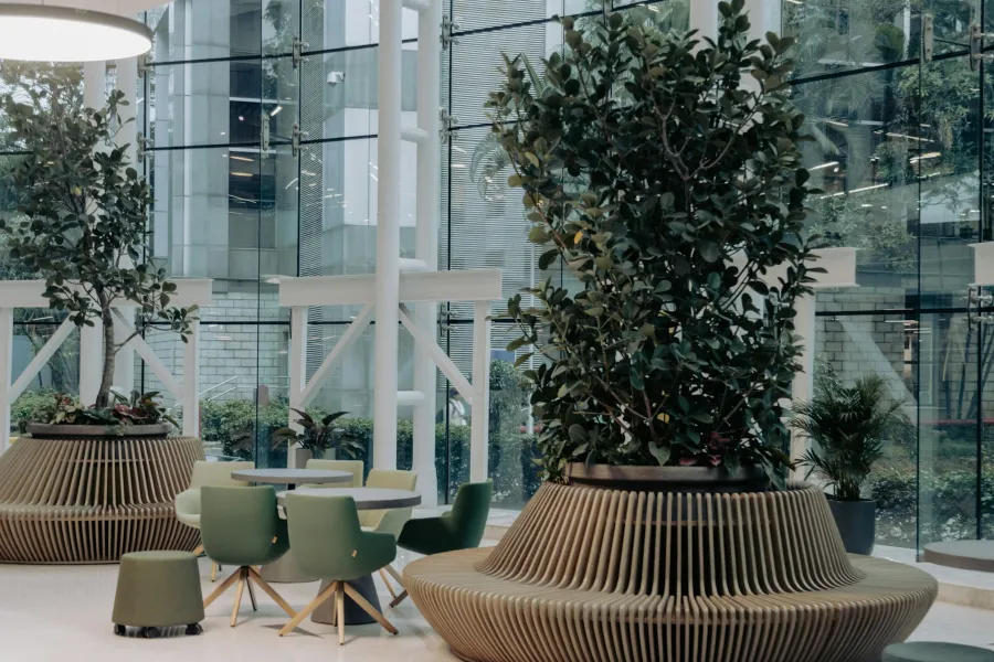 Biophilic design