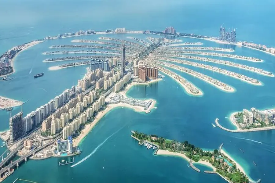 A Guided Tour of Palm Island