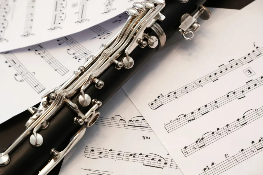 Survey on Music Students’ Attitudes to Performing
