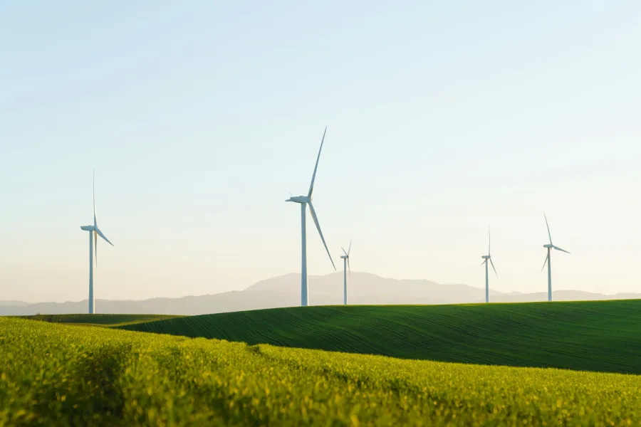 Sustainability