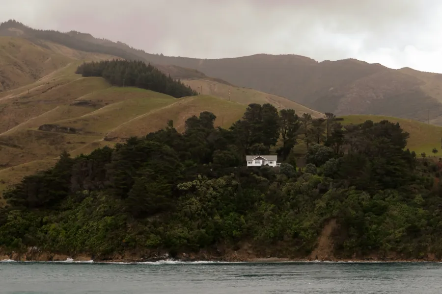 The New Zealand writer Maurice Gee