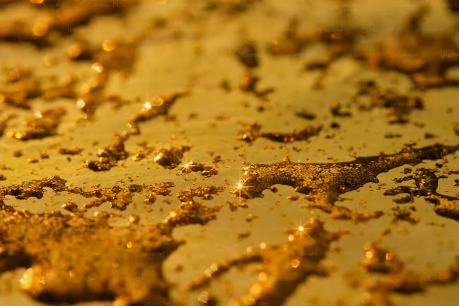 Historical impact of the California gold rush