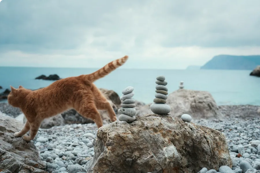 Animals predicting earthquakes