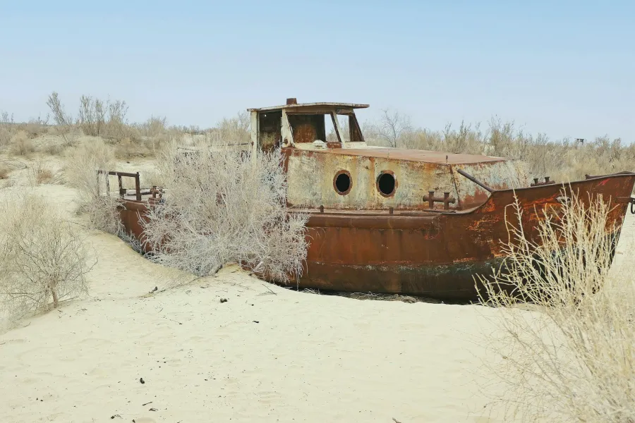 Reclaiming the future of Aral Sea