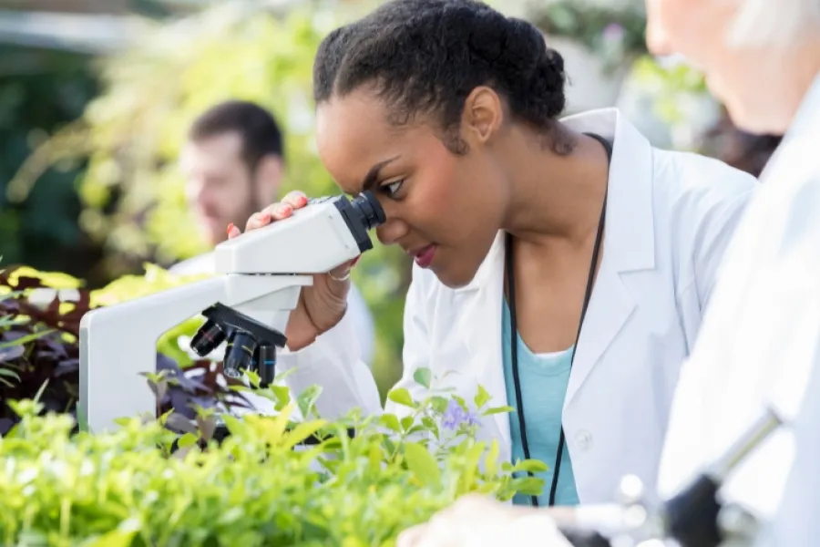 Evaluating Environmental Research Course Modules - IELTS Listening with Practice test, Audio, Transcript, And Explanation