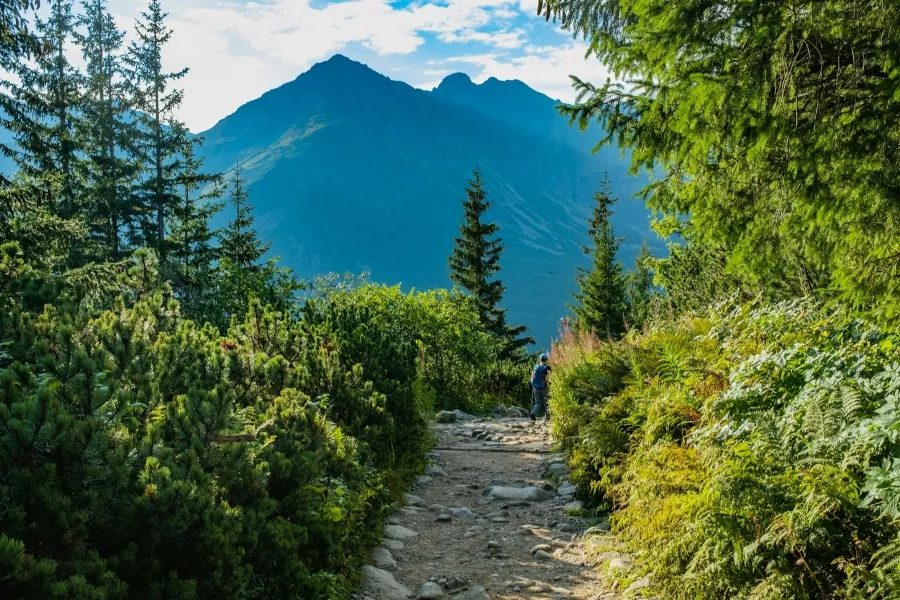 The McFaddin hiking and nature trail - IELTS Listening with Practice test, Audio, Transcript, And Explanation