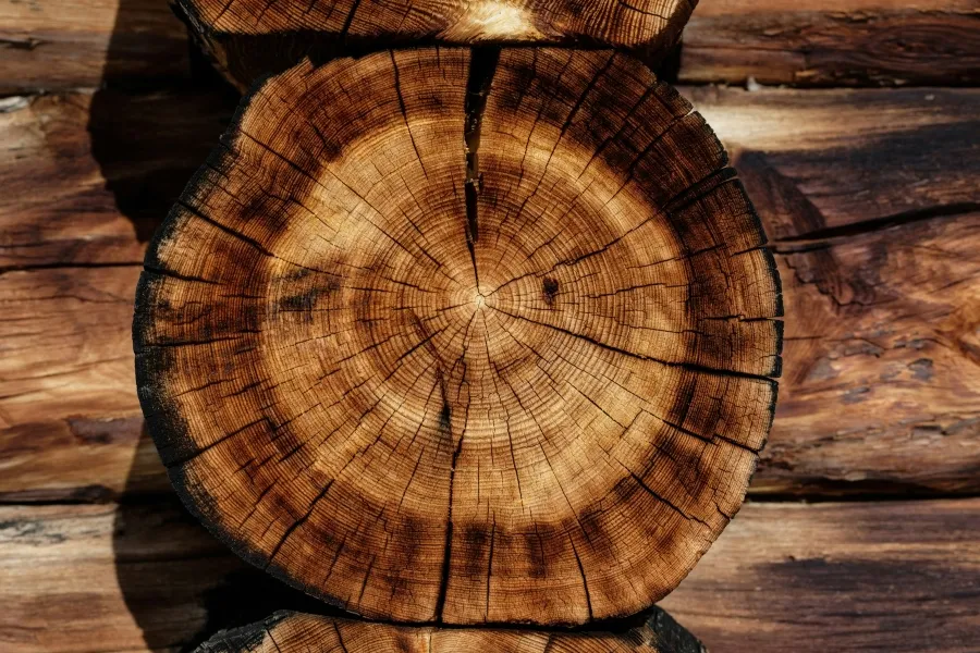 Wood: A Valuable Resource in New Zealand’s Economy - IELTS Reading with Practice Test, Answers And Explanation