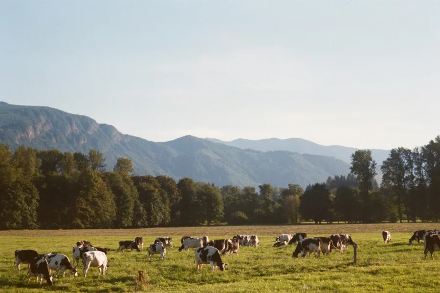 New agriculture in Oregon, USA