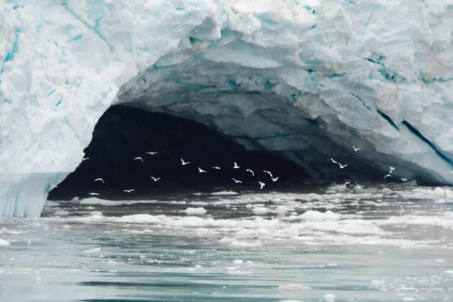 Arctic warming