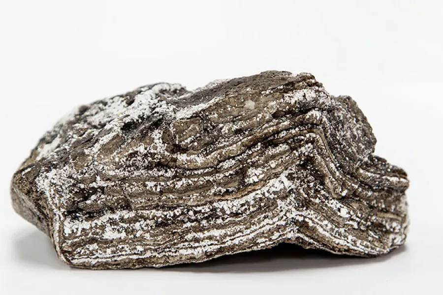 Ambergris – what is it and where does it come from?