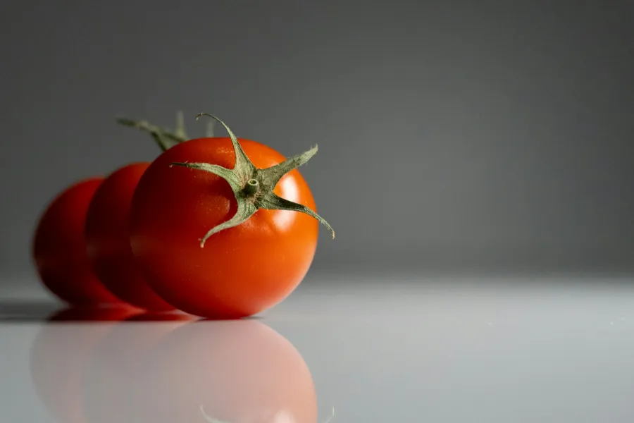 The constant evolution of the humble tomato
