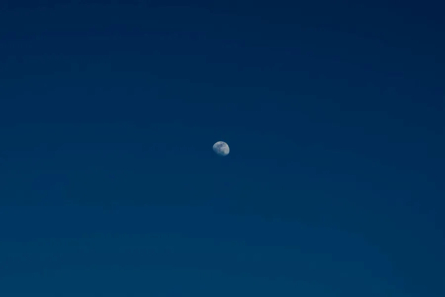 Our vanishing night - IELTS Reading with Practice Test, Answers And Explanation