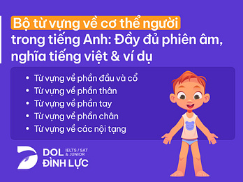 bộ từ vựng về cơ thể người trong tiếng Anh