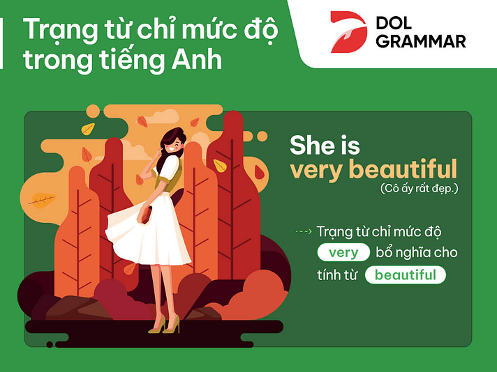 trạng từ chỉ mức độ