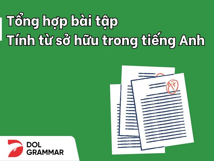bài tập tính từ sở hữu