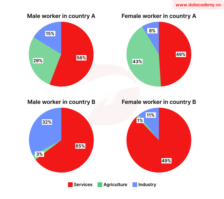 Forecast IELTS Writing Task 1 - (Pie chart) - Topic Gender employment by sector & sample band 8.5+