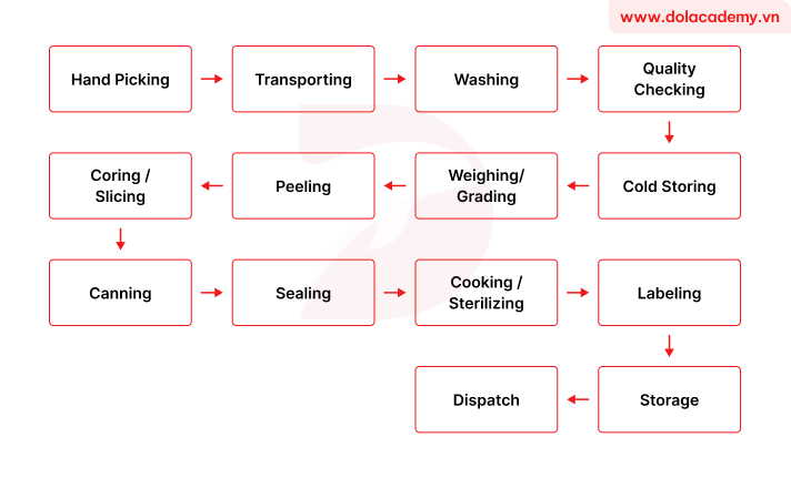 Forecast IELTS Writing Task 1 - (Process) - Topic Canning process of pears & sample band 8.5+
