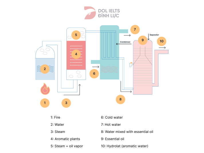 Đề thi IELTS Writing Task 1 ngày 13/10/2022 kèm bài mẫu