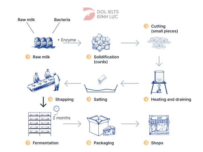 Bài mẫu IELTS Writing Task 1 band 8 ngày 08/07/2023