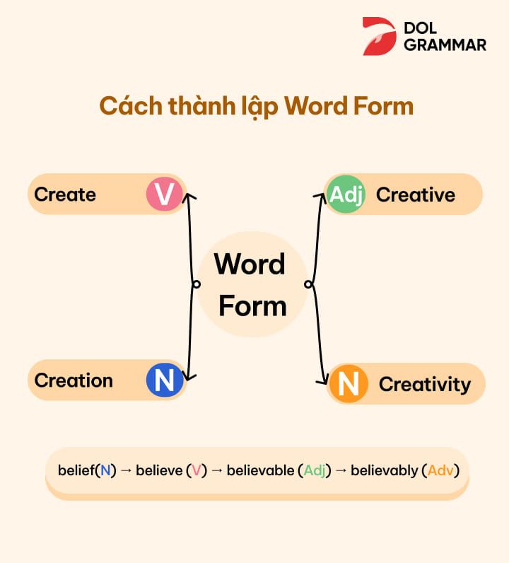 cách thành lập word form