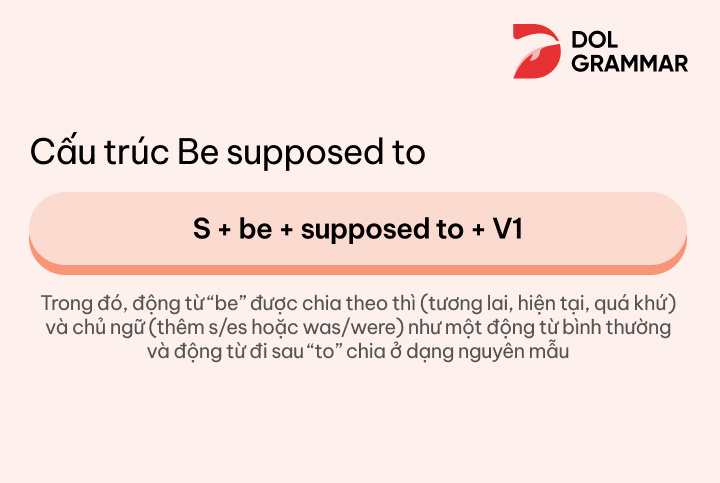 cấu trúc be supposed to