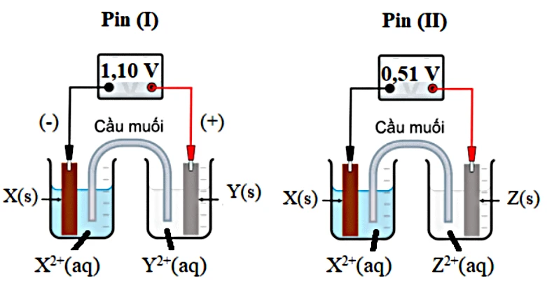 Thiết lập pin điện hóa (I), (II), (III) theo sơ đồ cho trước. Nếu