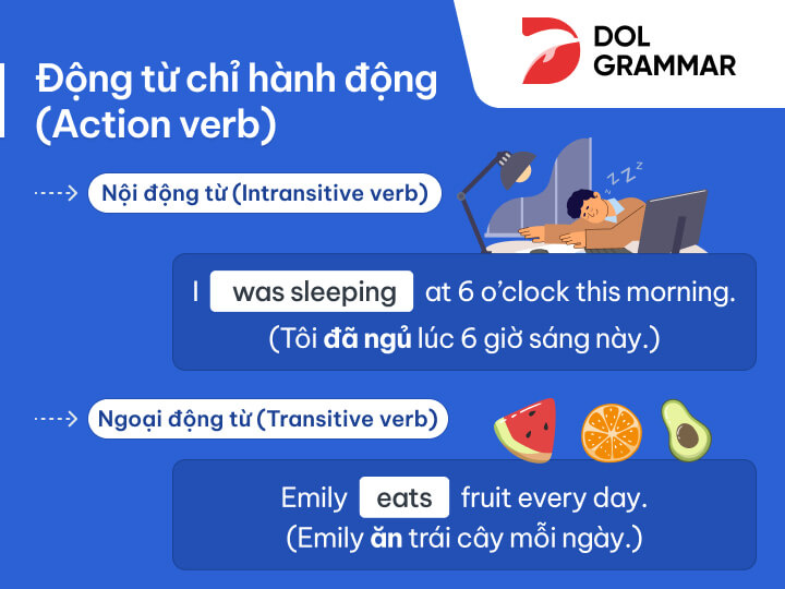 động từ verb