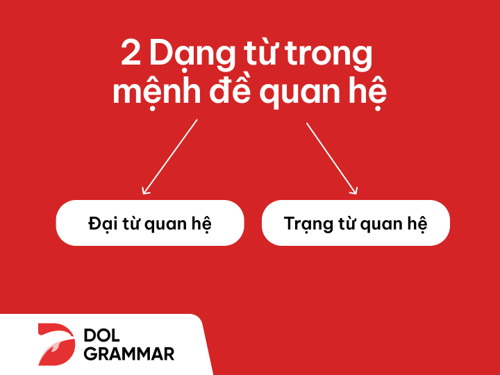 2 dạng từ mệnh đề quan hệ
