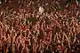 vocab