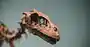 vocab